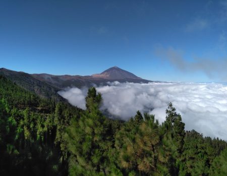 Retreats in Nature on Tenerife – A training in awareness, sincere communication and deep connecting